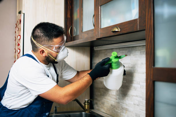 Best Wildlife Control Services  in Imlay City, MI