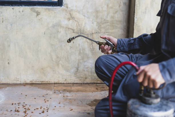 Best Wasp Removal Services  in Imlay City, MI