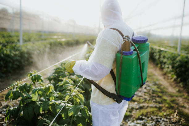 Best Cockroach Control Services  in Imlay City, MI